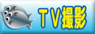 TV�B�e